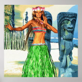 Mooi Hawaii Poster (Voorkant)