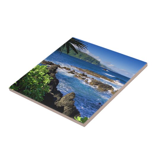 Mooi Hawaii Tegeltje (Zijkant)