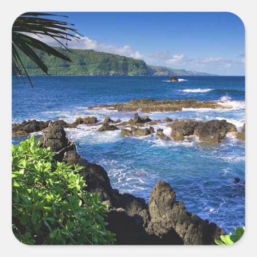 Mooi Hawaii Vierkante Sticker (Voorkant)