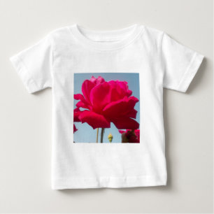 Mooi hemels Roos rood tegen blauw