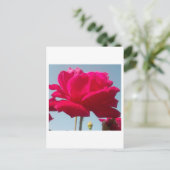 Mooi hemels Roos rood tegen blauw Briefkaart (Staand voorkant)