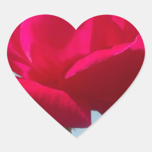 Mooi hemels Roos rood tegen blauw Hart Sticker