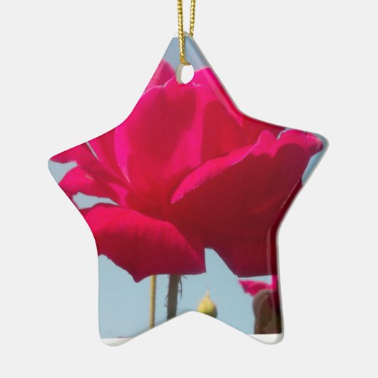 Mooi hemels Roos rood tegen blauw Keramisch Ornament (Links)