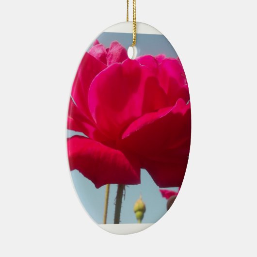 Mooi hemels Roos rood tegen blauw Keramisch Ornament (Rechts)