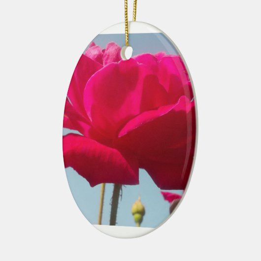 Mooi hemels Roos rood tegen blauw Keramisch Ornament (Links)