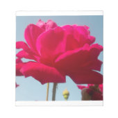 Mooi hemels Roos rood tegen blauw Notitieblok (Voorkant)