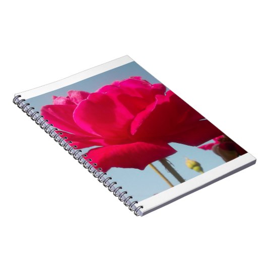 Mooi hemels Roos rood tegen blauw Notitieboek (Rechterzijde)