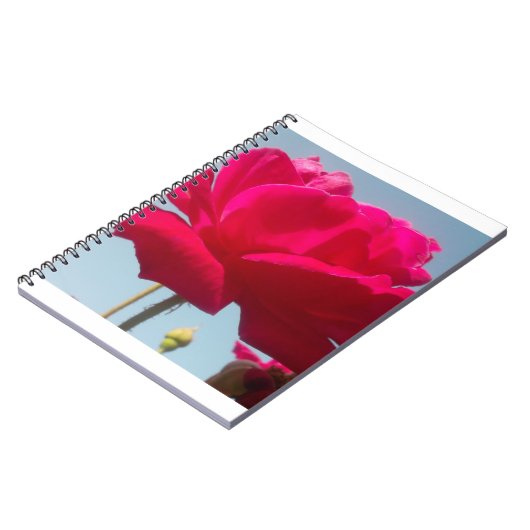 Mooi hemels Roos rood tegen blauw Notitieboek (Linkerzijde)