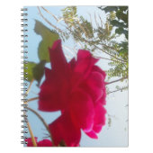 Mooi hemels Roos: rood tegen blauw Notitieboek (Voorkant)