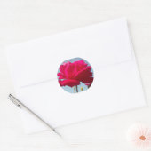 Mooi hemels Roos rood tegen blauw Ronde Sticker (Envelop)