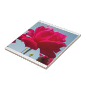 Mooi hemels Roos rood tegen blauw Tegeltje (Zijkant)