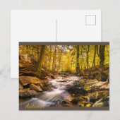 Mooi herfstbos briefkaart (Voorkant / Achterkant)