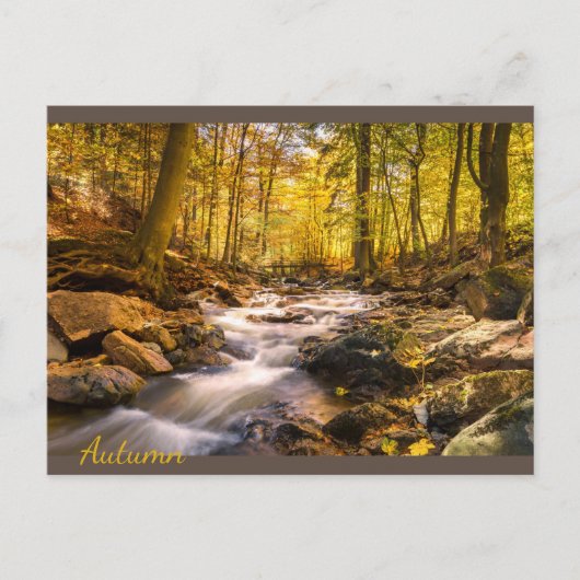 Mooi herfstbos briefkaart (Voorkant)