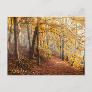 Mooi herfstbos briefkaart