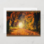 Mooi herfstbos  briefkaart (Voorkant / Achterkant)