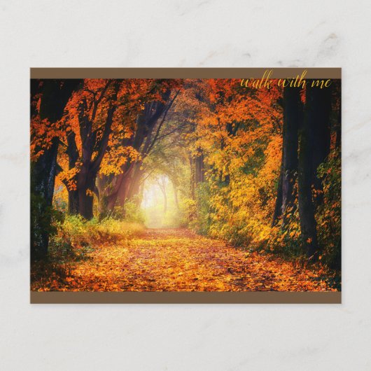 Mooi herfstbos  briefkaart (Voorkant)