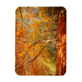 Mooi herfstbos magneet (Verticaal)