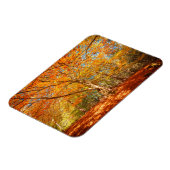 Mooi herfstbos magneet (Linkerzijde)