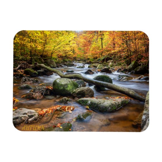 Mooi herfstbos magneet (Horizontaal)