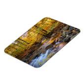 Mooi herfstbos magneet (Linkerzijde)