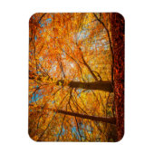 Mooi herfstbos magneet (Verticaal)