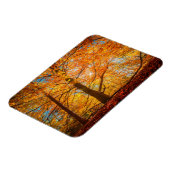 Mooi herfstbos magneet (Linkerzijde)