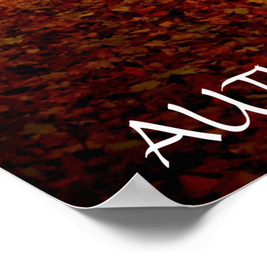 Mooi herfstbos poster (Hoek)