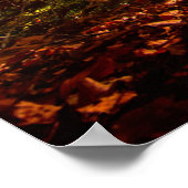 Mooi herfstbos poster (Hoek)