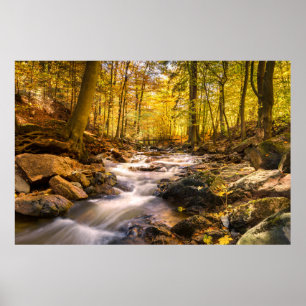 Mooi herfstbos poster