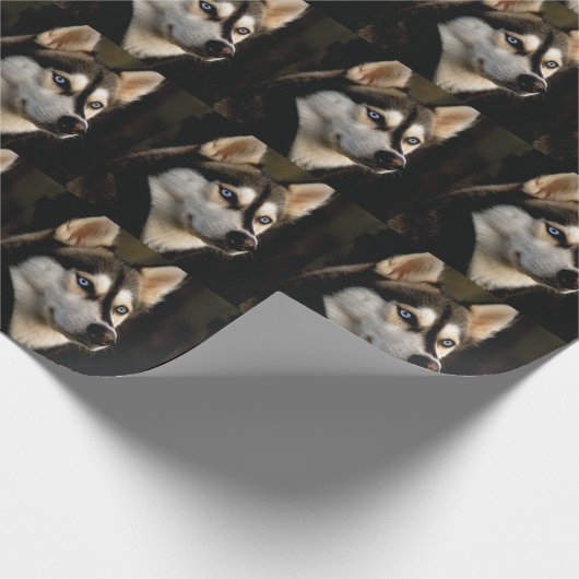 Mooi Husky Sierkussen Cadeaupapier (Hoek)