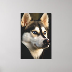 Mooi Husky Sierkussen Canvas Afdruk
