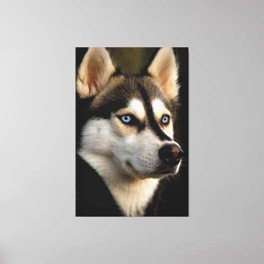 Mooi Husky Sierkussen Canvas Afdruk (Voorkant)