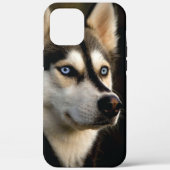 Mooi Husky Sierkussen Case-Mate iPhone Case (Achterkant)