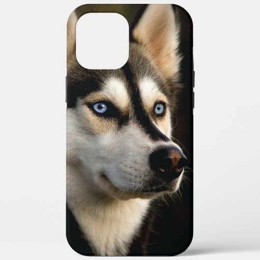 Mooi Husky Sierkussen Case-Mate iPhone Case (Achterkant)