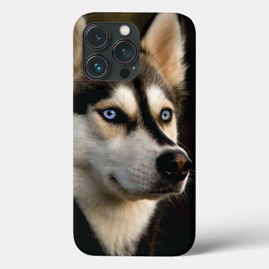 Mooi Husky Sierkussen Case-Mate iPhone Case (Achterkant)