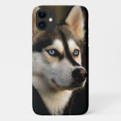 Mooi Husky Sierkussen Case-Mate iPhone Case (Achterkant)