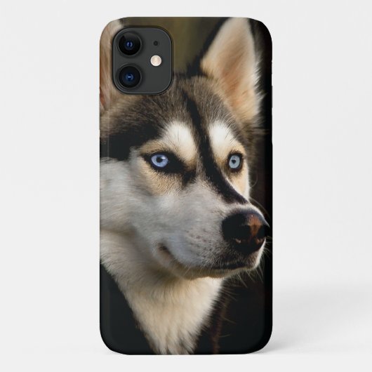 Mooi Husky Sierkussen Case-Mate iPhone Case (Achterkant)
