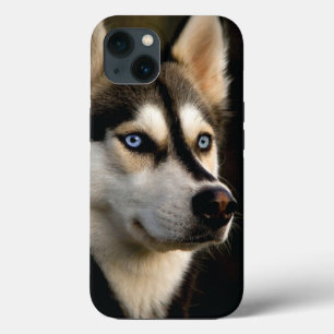 Mooi Husky Sierkussen Case-Mate iPhone Case