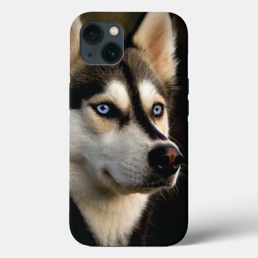 Mooi Husky Sierkussen Case-Mate iPhone Case (Achterkant)