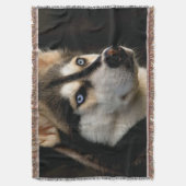 Mooi Husky Sierkussen Deken (Voorkant Verticaal)