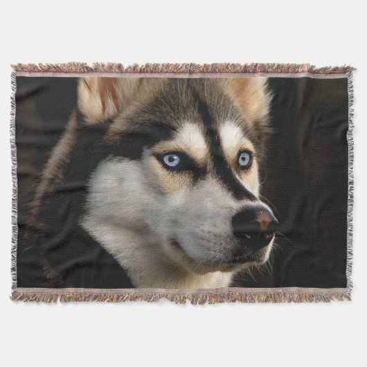 Mooi Husky Sierkussen Deken (Voorkant)