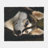 Mooi Husky Sierkussen Fleece Deken (Voorkant (Horizontaal))