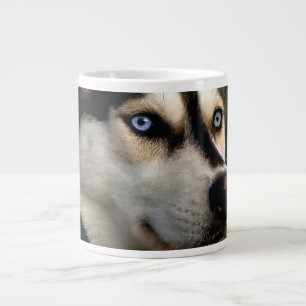 Mooi Husky Sierkussen Grote Koffiekop