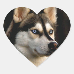 Mooi Husky Sierkussen Hart Sticker