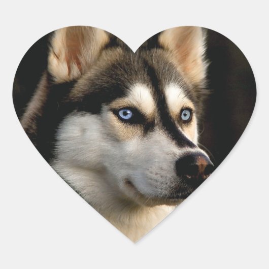 Mooi Husky Sierkussen Hart Sticker (Voorkant)
