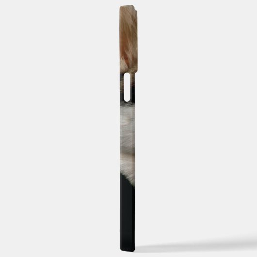 Mooi Husky Sierkussen iPhone Hoesje (Rechterkant)