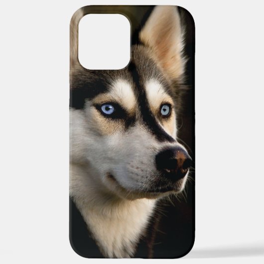 Mooi Husky Sierkussen iPhone Hoesje (Achterkant)