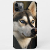 Mooi Husky Sierkussen iPhone Hoesje (Achterkant)