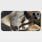 Mooi Husky Sierkussen iPhone Hoesje (Achterkant horizontaal)