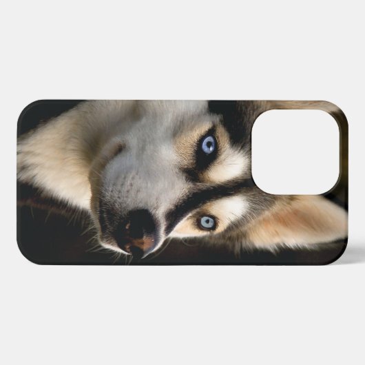 Mooi Husky Sierkussen iPhone Hoesje (Achterkant horizontaal)